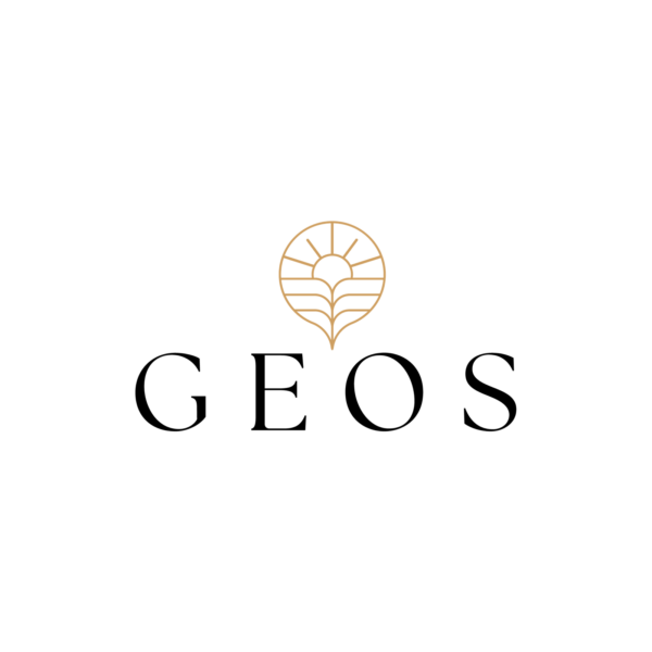 GEOS – Certificación de Mentoring en habilidades blandas de liderazgo (Pago en cuotas A)